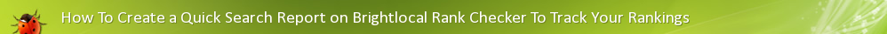 How To Create a Quick Search Report on Brightlocal Rank Checker To Track Your Rankings